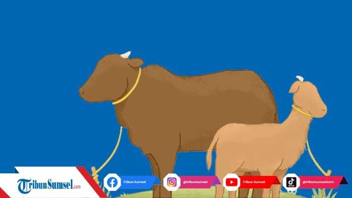 Memakan Daging Kurban Sendiri, Bagaimana Hukumnya? Ini Penjelasan dari Kemenag