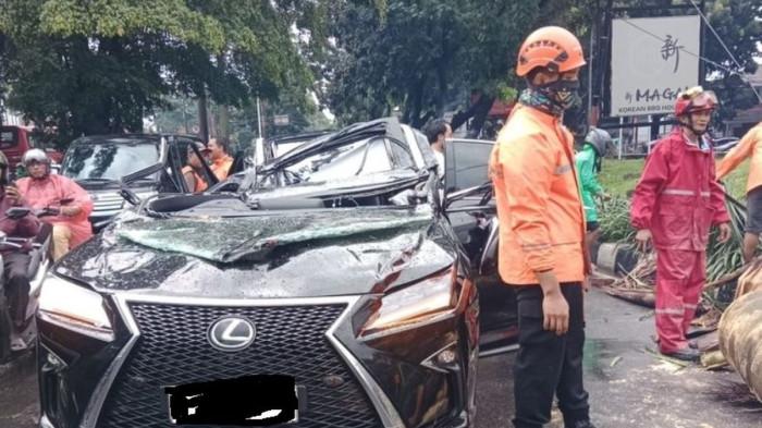 Kronologi Pengemudi Mobil Lexus Tewas Tertimpa Pohon Tumbang di Pondok Indah Jaksel saat Hujan Deras