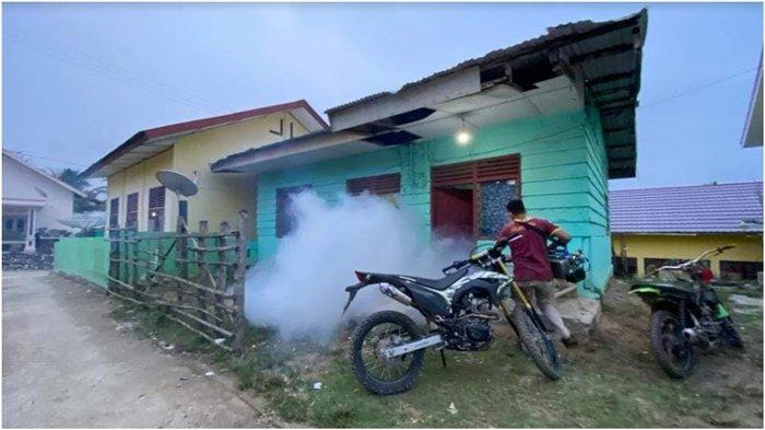 Musim Hujan, Dinkes Muratara  Imbau Masyarakat Waspada Serangan Nyamuk Demam Berdarah