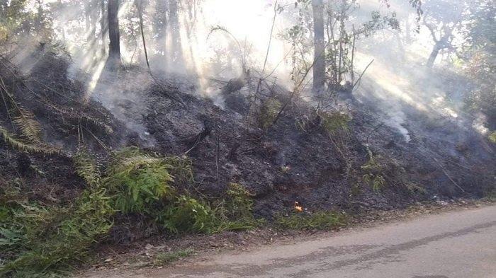 OKI, Banyuasin, Ogan Ilir, MUBA dan OKU Timur Jadi Wilayah Rentan Munculnya Titik Api Serta Karhutla