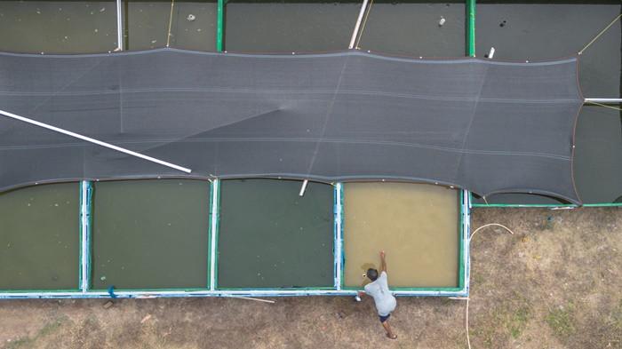 Perikanan Terintegrasi Naikan Gizi Anak dan Tingkatkan Ekonomi