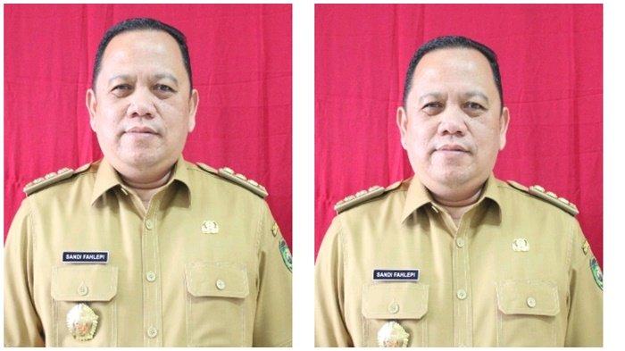 Rekam Jejak Sandi Fahlepi Bakal Dilantik Jadi Pj Bupati Muba, Putera Kelahiran OKU Timur