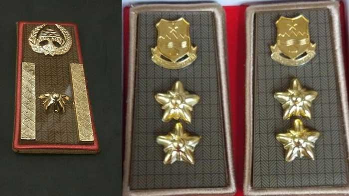 Pangkat Golongan ASN atau PNS Terbaru 2022, Lengkap dengan Tanda Pangkat atau Lambang