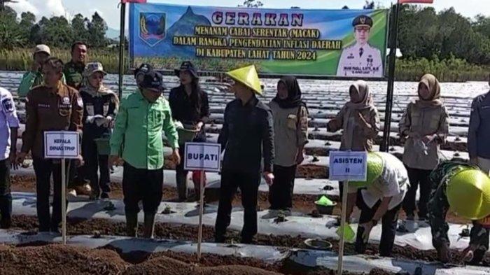 Tekan Inflasi, Pemkab Lahat Gencar Ajak Warga Tanam Cabai di Pekarangan Rumah