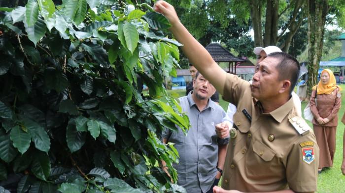 Terima Audiensi Eksportir Australia, Ludi Oliansyah Ingin Tingkatkan Kopi Pagar Alam Agar Mendunia