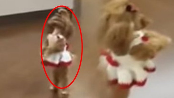 Wanita Ini Lihat Sesuatu yang Tak Terduga saat Jenguk Ibunya di Rumah Sakit