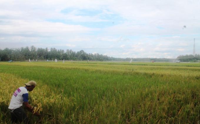 250 Hektare Sawah Baru Siap Direalisasikan Jadi Sawah Baru