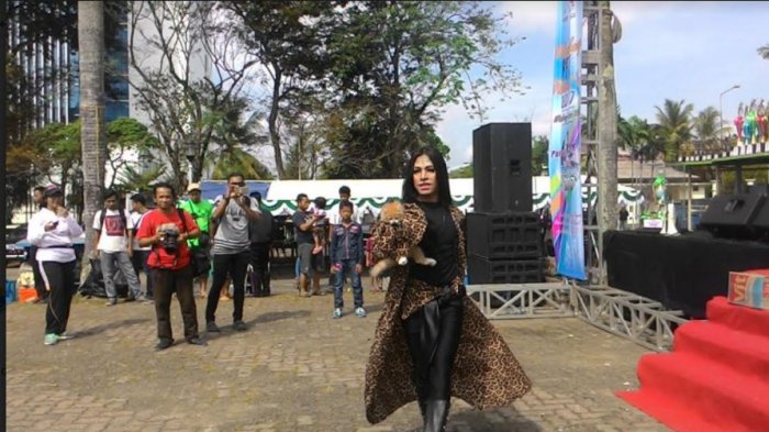 Lucunya Aksi Kucing-kucing Ini Saat Catwalk Bareng Pemiliknya Bikin Gemes