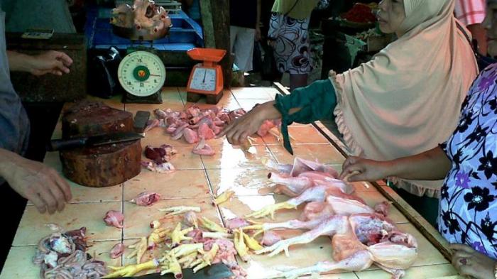 Permintaan Ayam Potong Meningkat
