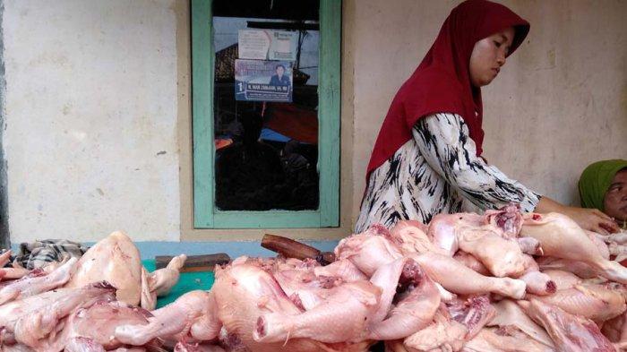 Sepekan Setelah Lebaran, Harga Ayam Broiler di Palembang Masih Rp 38 Ribu