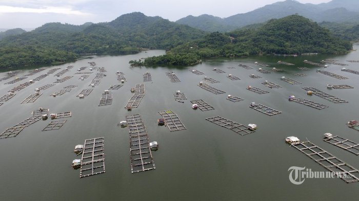 Waduk Jatiluhur Jadi Sasaran Teroris, Ini Dia Hal Mengerikan yang Terjadi Jika Diledakkan