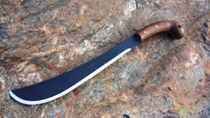 Ayunan Golok Made Tepat Mengenai Kepala Mantan Majikan, Pelaku Kesal karena Dipecat