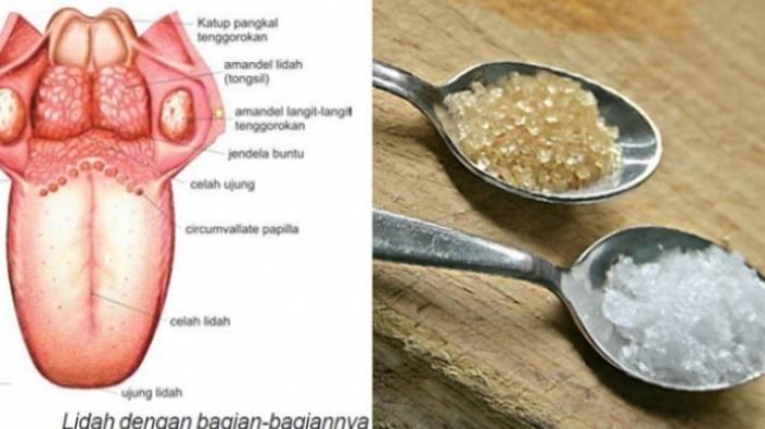 Taruh Campuran Garam dan Gula di Bawah Lidah, Rasakan Manfaat Luar Biasanya