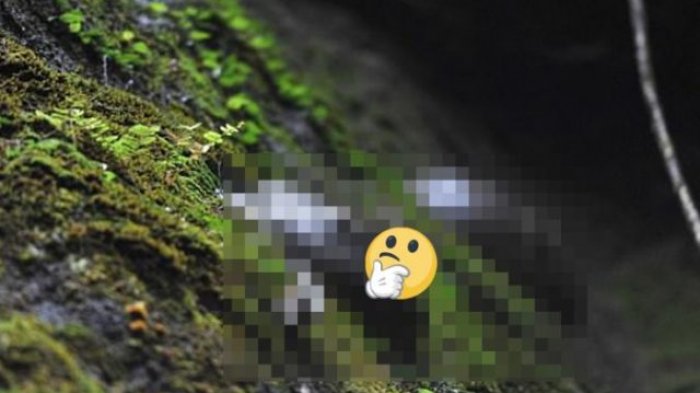 Heboh, Ada Gunung Misterius yang 'Bertelur' 30 Tahun Sekali, Ilmuwan Sampai Bingung Menjelaskannya