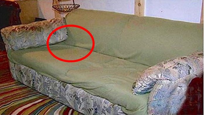 Ketiga Mahasiswa Tak Menyangka saat Temukan Sesuatu dari Dalam Sofa Bekas dan Bau Ini