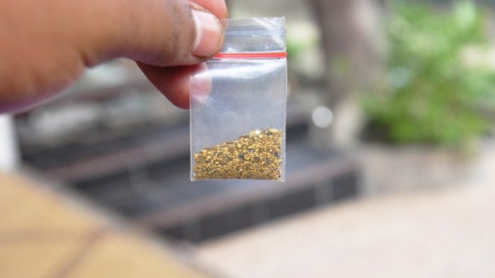 Berburu Harta Karun di Cengal, Deri Kumpulkan Hingga 50 Gram Emas