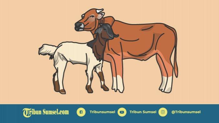 Doa dan Tata Cara Menyembelih Hewan Qurban (Kurban) di Hari Idul Adha Sesuai Ajaran Islam