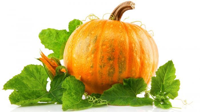 Mahasiswa Ini Ciptakan Labu Kuning Jadi Beras