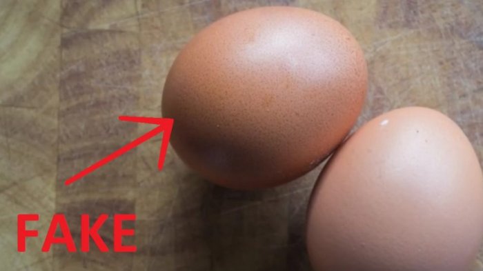 Waspada, Beredar Telur Palsu, Begini Cara Membedakannya