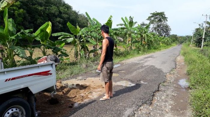 Usulan Tak Digubris Pemerintah, Lihat yang Dilakukan Warga Memperbaiki Jalan Rusak