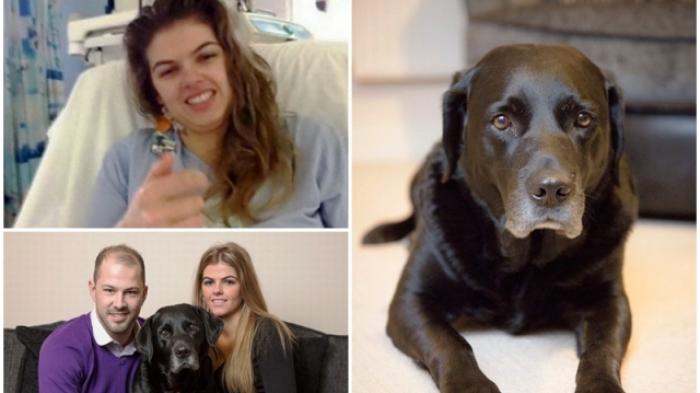 Anjing Ini Selamatkan Tuannya yang Terkena Serangan Jantung