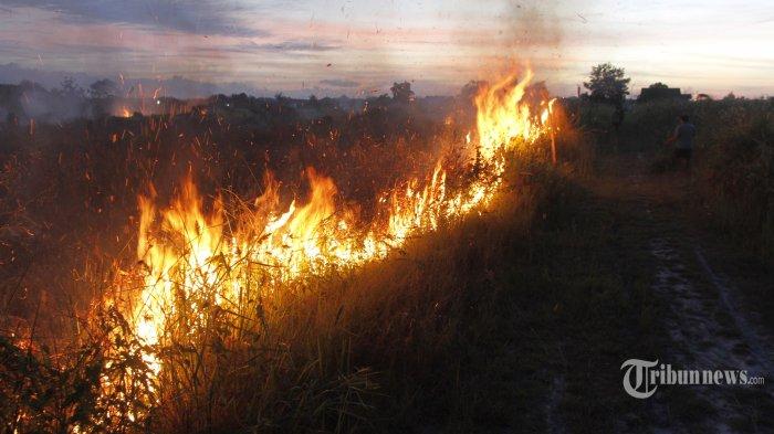 Kapolres Ogan Ilir Izinkan Warga Bakar Lahan, Asalkan . . .