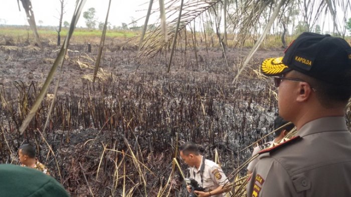 Tinjau Lokasi Kebakaran Hutan dan Lahan, Ini Kata Kapolda Sumsel