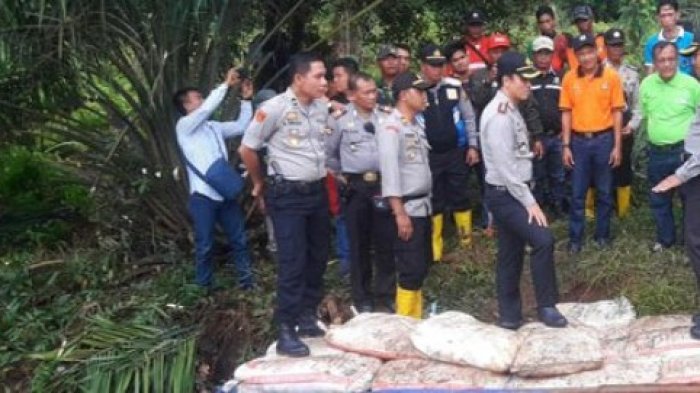 Antisipasi Kebakaran Hutan dan Lahan Begini yang Dilakukan Pemerintah OKI