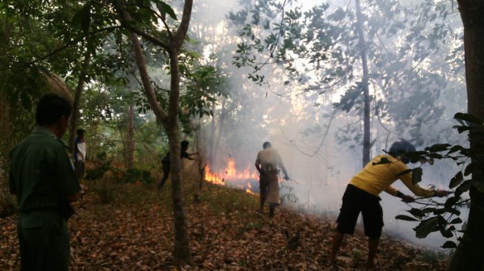 Kebakaran Hutan dan Lahan Masih