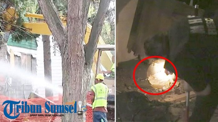 Hendak Bongkar Rumah Rumah, Pria Ini Dengar Suara Aneh ''Berdecit'', Ternyata