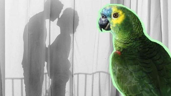 Iptu SG Ditangkap Warga Sedang Berselingkuh dengan Istri Orang, Drama Penggerebekan Bikin Ngakak