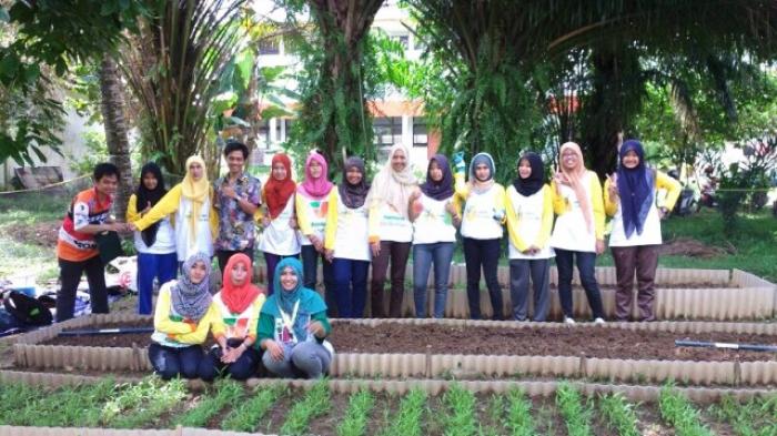 Komunitas Palembang Berkebun, Berkebun Sayur di Lahan Sempit