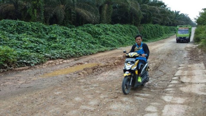 Jalanan Rusak yang Dilewati PT MHP Cuma Ditimbun, Dewan Desak Untuk Diperbaiki