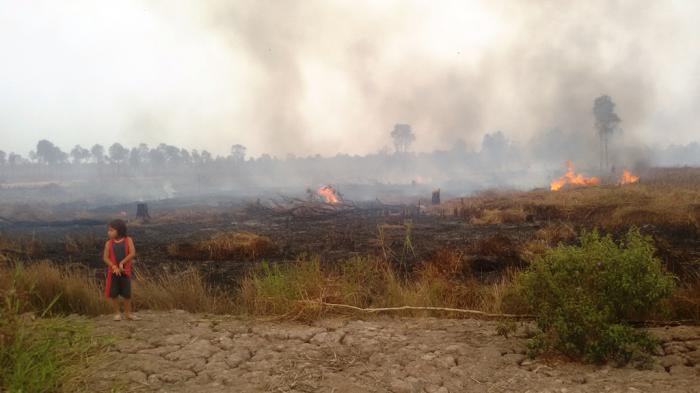 Ada yang Bakar Lahan Ini Tapi Orangnya Sudah Pergi