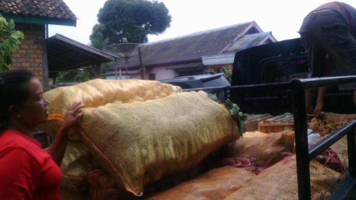 Dampak Kemarau, Pedagang Sayur di OKU Selatan Resah