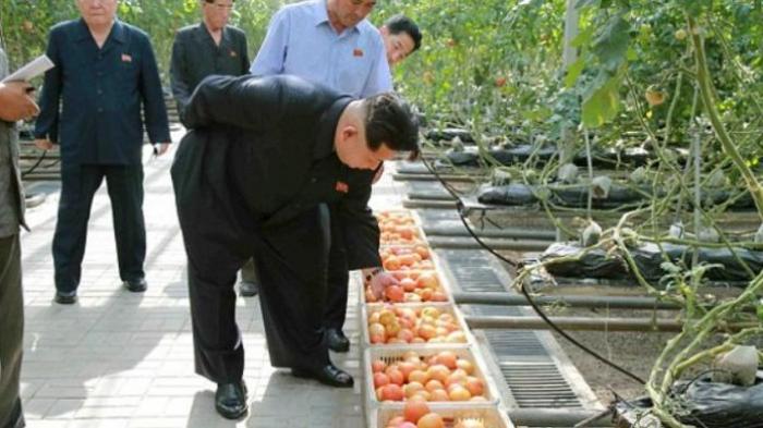 Takut Diracun, Kim Jong Un Minta Semua Sayuran Diperiksa Ketat