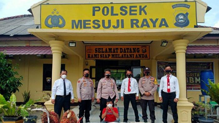 Digerebek Saat Mencuri Buah Sawit, Satu Pelaku Ditangkap Tiga Lainnya Melarikan Diri