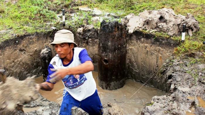 Tiang Kayu Berusia 810 Sebelum Masehi dari Air Sugihan