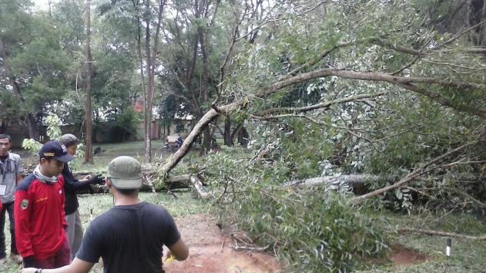 Romano Indian Rouledge, Temuan Baru di Bukit Siguntang