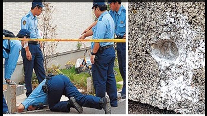 Butuh 13 Kali Tembakan untuk Membunuh Anjing Gila Ini