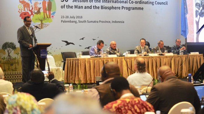 Indonesia Nominasikan Taman Berbak Sembilang Jadi Cagar Biosfer Baru