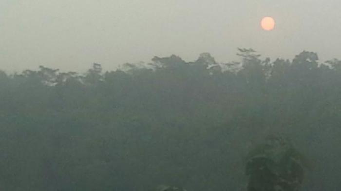 BNPB: Asap Menutup Laut Jawa, Termasuk Sebagian Jakarta