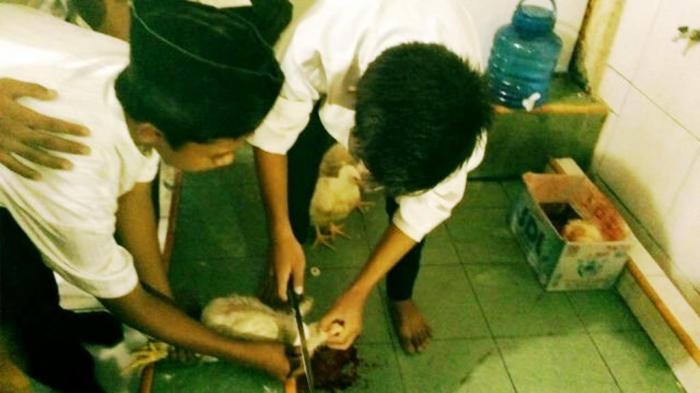 Ajarkan Cara Penyembelihan Ayam Saat Peringatan Tahun Baru Islam