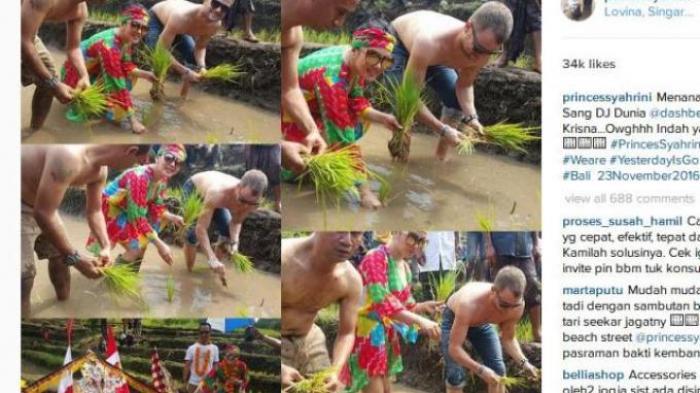 Cetaarrr, Syahrini Tanam Padi di Sawah Pakai Dress Seksi
