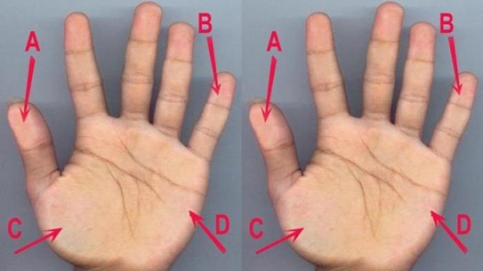 Lewat Tapak Tangan, Inilah Caranya Mengetahui Masih Perawan Atau Tidak