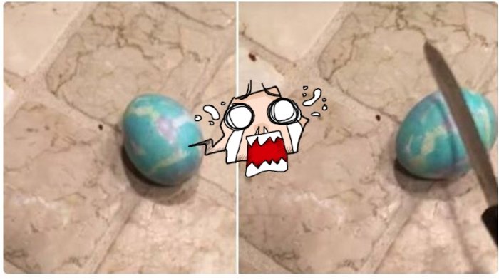 Ia Menemukan Telur 9 Tahun yang  Tersembunyi Saat Dipecahkan, Seisi Rumah  Kabur