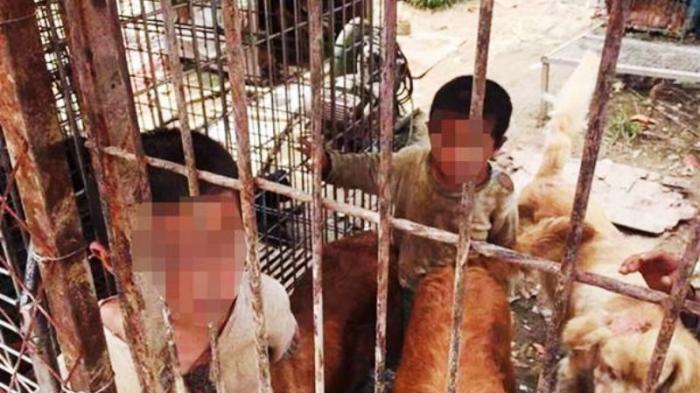Dua Bocah Malang Ini Ditemukan Tinggal Sekandang dengan Anjing