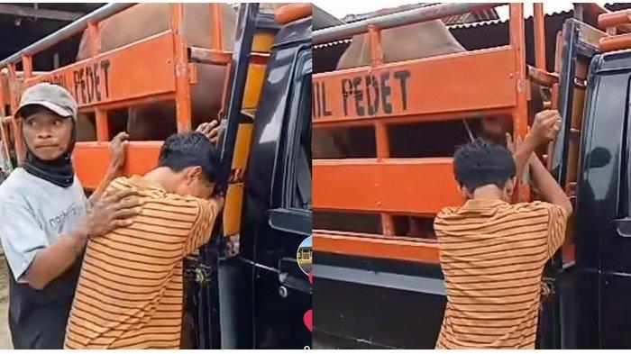 VIRAL Pria Nangis Tersedu-Sedu Tahu Sapi Kesayangan Dijual, Tak Rela Diangkut Sampai Diciumi