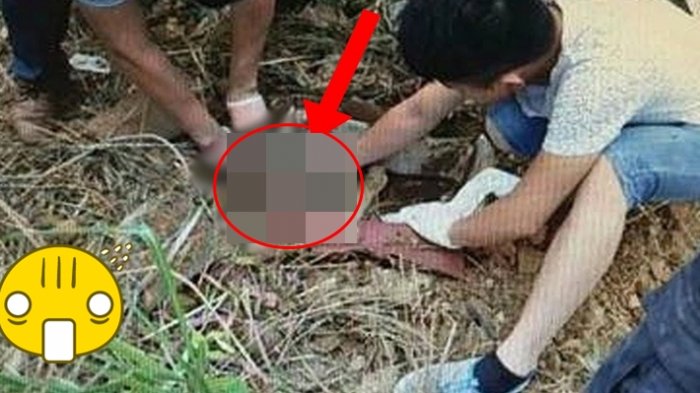 Warga Syok Temukan Sosok Bayi Mungil Didalam Hutan Berbahaya,Kejadiannya Sungguh Mengerikan!