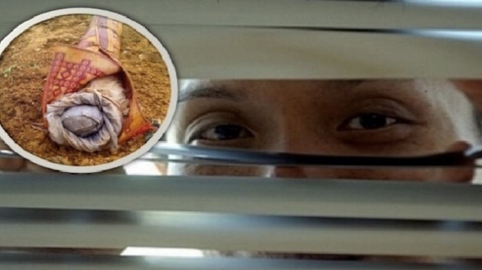 Istri Bingung Suami Tidak Bekerja,Tapi Bisa Sewa Rumah Mewah,Terungkap Ternyata Ini Kerjanya